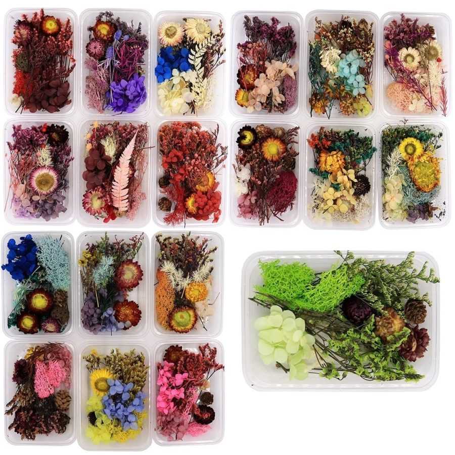 Dry Flower Box -  6 Box (Assorted Box) - Image 3