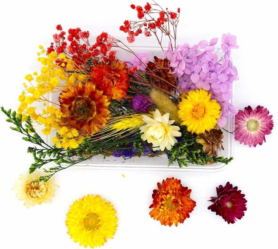 Dry Flower Box  - 1 piece - Image 4