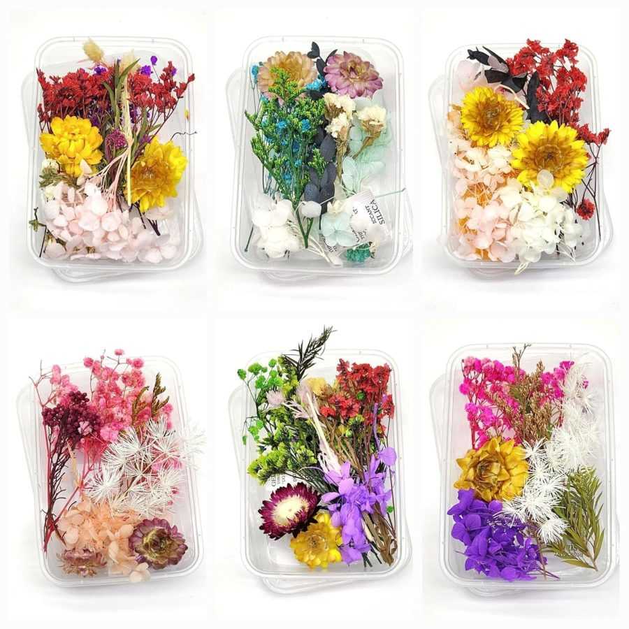 Dry Flower Box -  6 Box (Assorted Box)