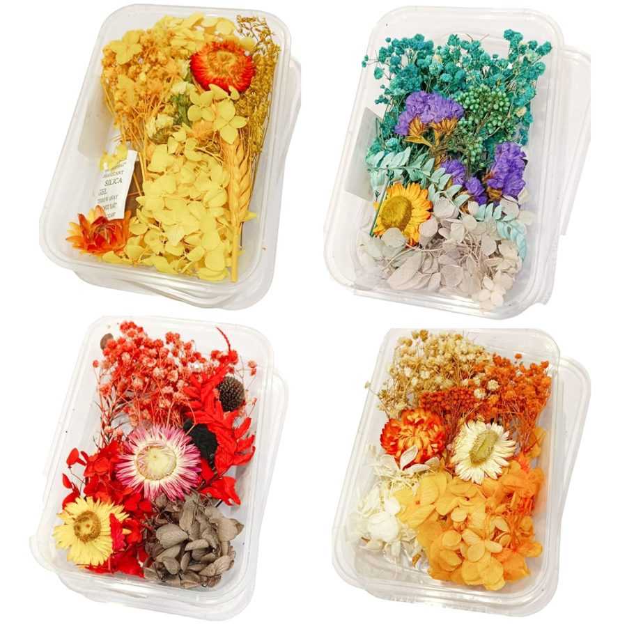 Dry Flower Box - 4 Box (Assorted Box)