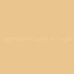 Pale Cream  -20g